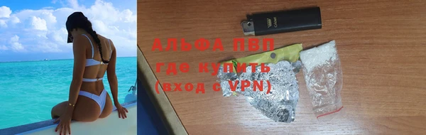 трава Белокуриха
