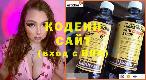 трава Белокуриха