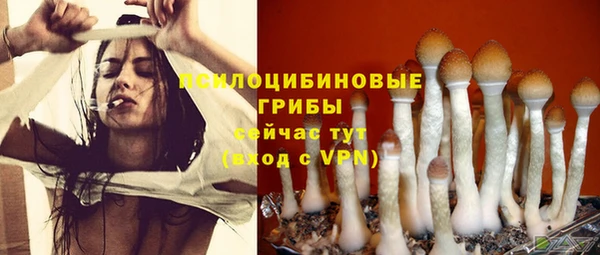 спайс Баксан