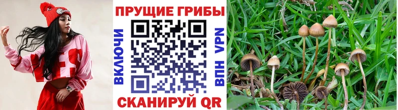 Галлюциногенные грибы ЛСД  закладки  Корсаков 
